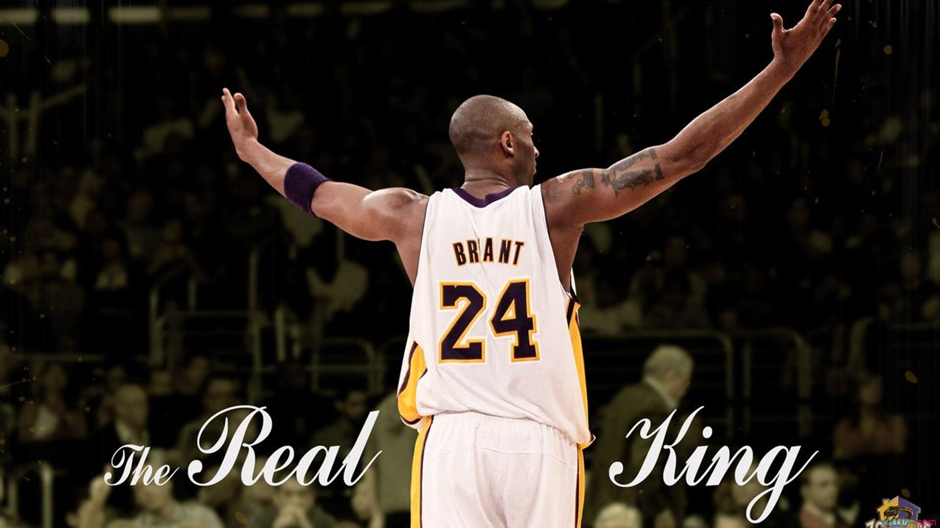 爱游戏官网-迈凯伦鏖战红牛二队，勒克莱尔在静悄悄的统治中取胜