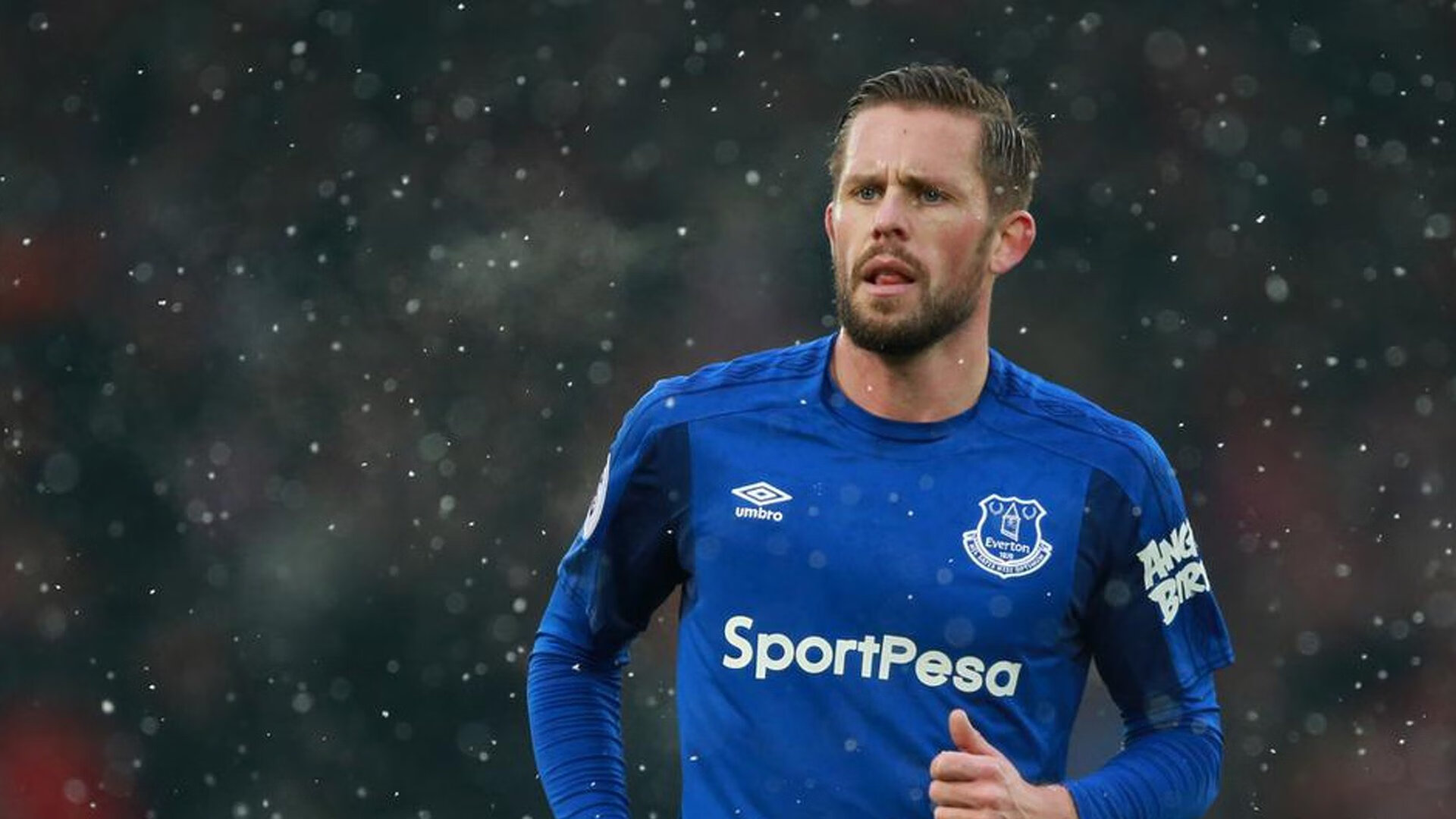 雅加达的启示录，当团队智慧超越个人英雄主义