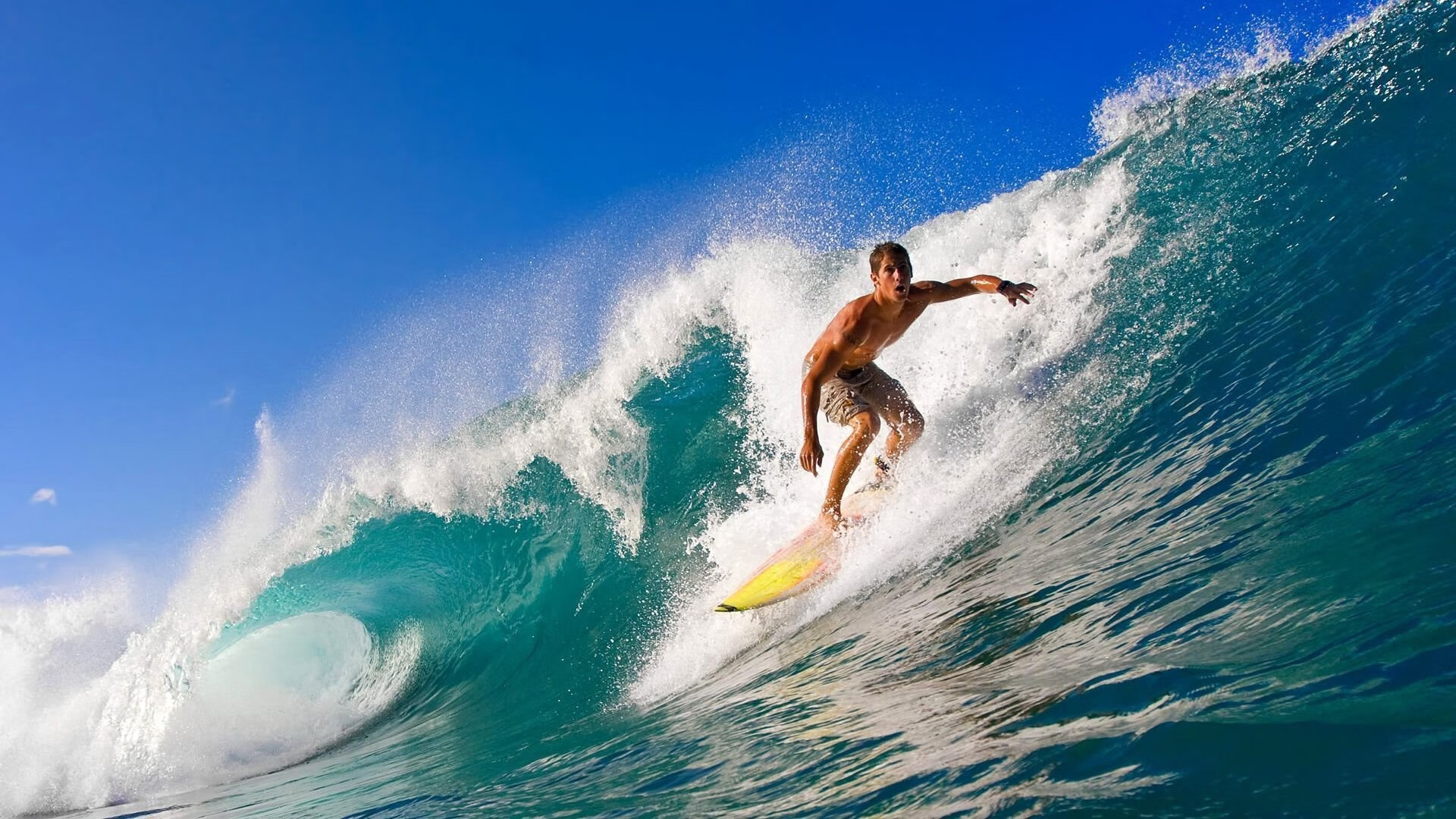 跨领域统治力，葡萄牙足球风暴与梁靖崑的乒乓火焰