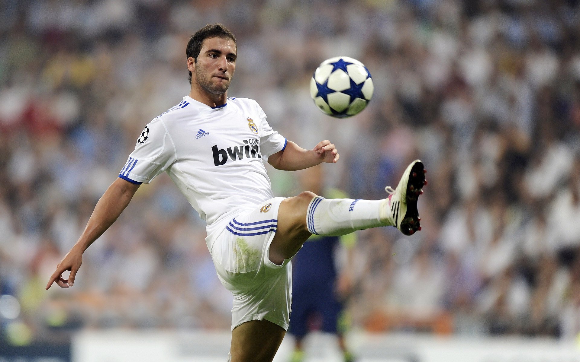 冷锋过境，梁靖崑掀起的波兰寒流如何冰封日本队